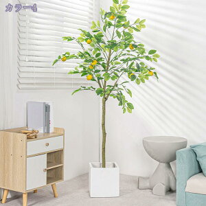 2000~OFFN[|  lHϗtA { ͂Ȃ ^A  i Mъϗt CeA  rO ItBX X܃fBXvC ƖpΉ JXj JƏj Vzj