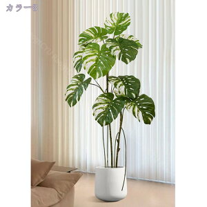 2000~OFFN[| Xe tFCNO[ ^ A  i  { ͂Ȃ ֐  z[ ItBX JX J Vz bȂ sv ~͐A 