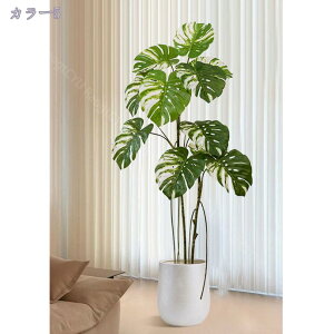 2000~OFFN[| Xe lHϗtA ^ CeAO[ ~͐A tA|[` ItBX  CeA rO z[ i X^hA ͂Ȃ Vzj z