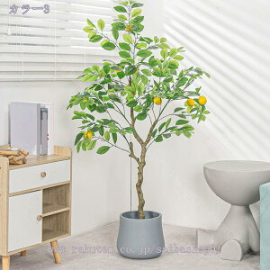 2000~OFFN[| EG  lHϗtA ^ CeAO[ ~͐A tA|[` ItBX  rO z[ X^hA ͂Ȃ Vzj zj 1.2m Rao