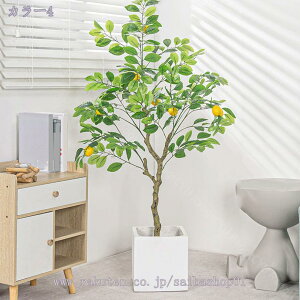 1000~OFFN[| tFCNc[ lHϗtA ^ lHϗtA tFCN O[ p  ֐ rO xbh[ JtF  ItBX z[ fR[V 1