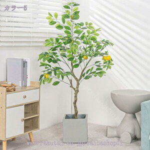 2000~OFFN[| EG  lHϗtA ^ CeAO[ ~͐A tA|[` ItBX  rO z[ X^hA ͂Ȃ Vzj zj 1.2m Rao