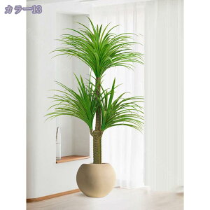 1000~OFFN[| hZi ^ lHϗtA  rO ItBX  CeA R[i[ɍœK tFCNO[ eiXsv t Ǝ{݌ Xܑ Vzj Mtg 