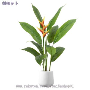 2000~OFFN[| tFCNO[ ^  lHϗtArO ItBX t CeAO[ a_  N̗ǂA CeAɉfO[ v[g g