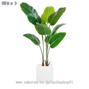 1000~OFFN[| tFCNO[ ^  lHϗtArO ItBX t CeAO[ a_  N̗ǂA CeAɉfO[ v[g g