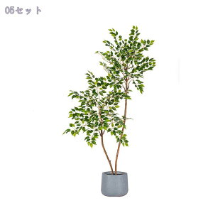 1000~OFFN[| tFCNO[ ^ KW} lHϗtA tFCNc[ tFCNϗtA  ֐ Xܑ  rO xbh[ JtF  J^ ͂Ȃ ȒP