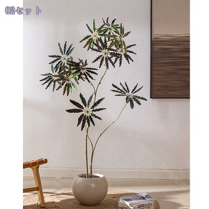 1000~OFFN[| ^ tFCNO[ A  ͂Ȃ _CRNVc[ rO CeA  ֐ \t@ er{[h R[i[u { A R