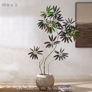 1000~OFFN[| ^ tFCNO[ A  ͂Ȃ _CRNVc[ rO CeA  ֐ \t@ er{[h R[i[u { A R