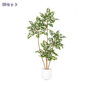 2000~OFFN[|  KW} ^ tFCNO[ { rO[ Ǝ{ݗp CeA t  ƒ 悯oRj[ Iȑ z̃Mtg  l