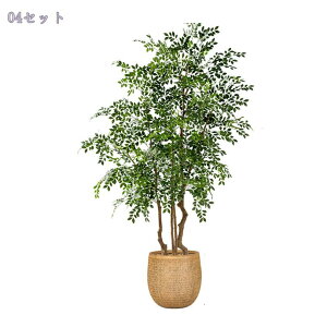 lHϗtA  KW}̖ t ^ tFCNO[ { lHϗt sv Q쏜sv p {I    A CeAO[ J^ 