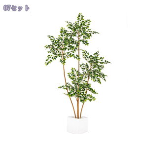 1000~OFFN[| tFCNO[ KW} ^  ͂Ȃ Ă悤 u Ɩp Xg ֑Ή oRj[ p[e[V S₷炮 ӏ R[i[