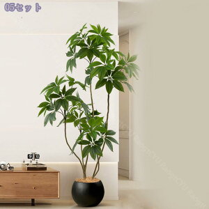 2000~OFFN[| pL tFCNO[  ^ { RȎp R[i[p ͂Ȃ p ֐ xbh[  z[ ƒ 悯oRj[ ȒP Iȑ 