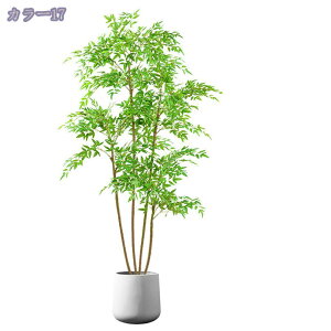 2000~OFFN[| tFCNO[ ^ A { A  rO CeA \t@ er{[h R[i[ RȎp CȃO[ Mtg v[g K