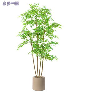 tFCNO[ ^ A { A  rO CeA \t@ er{[h R[i[ RȎp CȃO[ Mtg v[g K^̖ J^ 