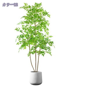 1000~OFFN[| V| tFCNO[ ^ CeA  A ׂ} ͂Ȃ  X܃fBXvC ƖpΉ  X Cxg RȎ JXj JƏj Vzj