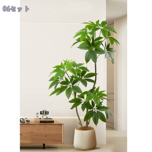 1000~OFFN[| tFCNO[ ^ Ă悤 u Ɩp Xg ֑Ή oRj[ p[e[V S₷炮 ӏ R[i[ɍœK  A[c[ 