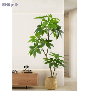 1000~OFFN[| tFCNO[ ^ Ă悤 u Ɩp Xg ֑Ή oRj[ p[e[V S₷炮 ӏ R[i[ɍœK  A[c[ 