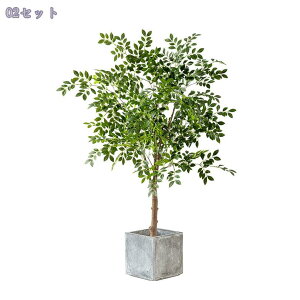 2000~OFFN[| ^ tFCNO[ { IV p  ֐ rO xbh[ JtF  ItBX z[ fR[V Vzj JƏj A lH