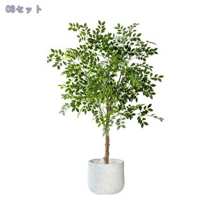 2000~OFFN[| ^ tFCNO[ { IV p  ֐ rO xbh[ JtF  ItBX z[ fR[V Vzj JƏj A lH