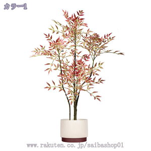 2000~OFFN[| tFCNO[ ^  lHϗtA { [bp 뉀 tFCNc[  JtF  Aȗt eiXsv Mtg v[g 1.4M 