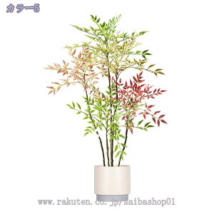 V| tFCNO[ ^ EG rO CeA \t@ er{[h R[i[ Adl { RȎp ^A  tFCNO[ RaogtCYU