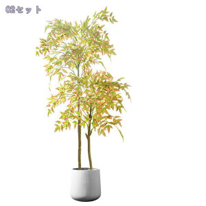 2000~OFFN[| tFCNO[ ^ A ΂O K u k CeA  u ȒPݒu ip lH bȂ 뉀 ifBXvC Ή  |[