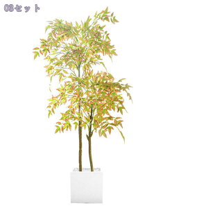 1000~OFFN[| tFCNie ^  lHϗtA A  CeA yؕ rO a_ ACe n Q쏜sv  ƒ 悯oRj[ 