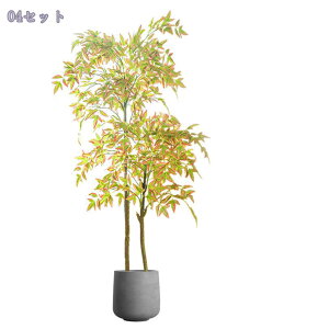 tFCNie ^  lHϗtA A  CeA yؕ rO a_ ACe n Q쏜sv  ƒ 悯oRj[ Iȑ z