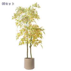 1000~OFFN[| tFCNie ^  lHϗtA A  CeA yؕ rO a_ ACe n Q쏜sv  ƒ 悯oRj[ 