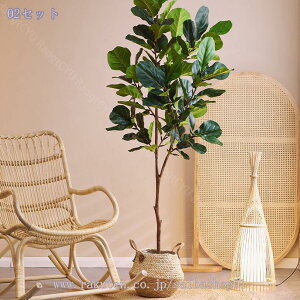 1000~OFFN[| tFCNO[  ^ { RȎp R[i[p ͂Ȃ p ֐ xbh[  z[ ƒ 悯oRj[ ȒP Iȑ zj