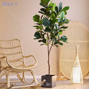 1000~OFFN[| tFCNO[  ^ { RȎp R[i[p ͂Ȃ p ֐ xbh[  z[ ƒ 悯oRj[ ȒP Iȑ zj