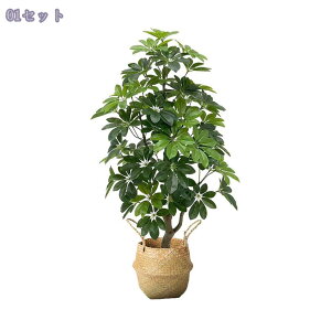 ^tFCNO[  A rO \t@ lHϗtA CeA  iA[g K^̖ ^Abv ACe sv JXj Vzj 0.9M RaogtCYU