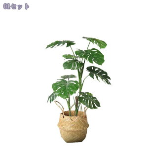 1000~OFFN[| lHϗtA Xe w| ^ tFCNO[ k  CeA rO ItBX Xܑ  t  z[fR[V ze r[ u