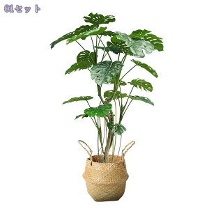 2000~OFFN[| Xe tFCNO[  ^ A {  rO ֏ R̕ Ǝ{ ̂юѕ R[i[Xy[X  i~ s