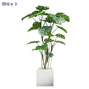 2000~OFFN[| Xe tFCNO[  ^ A {  rO ֏ R̕ Ǝ{ ̂юѕ R[i[Xy[X  i~ s