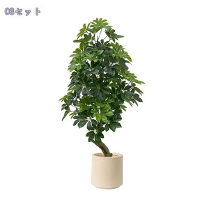 2000~OFFN[| pL lHϗtA ^Abv̖ ^  CeA u rO[ ItBX Xܑ t  O[ DIY z[fR[V tFCNO[