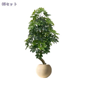 2000~OFFN[| pL lHϗtA ^Abv̖ ^  CeA u rO[ ItBX Xܑ t  O[ DIY z[fR[V tFCNO[