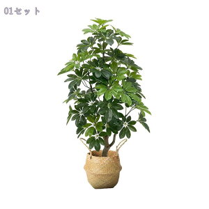 ^ tFCNO[  k lHϗtA rO Xܑ   ItBX ze Op t Vzj ȒP sv CeAc[ J^ ^Abv RaogtC