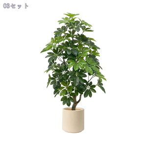 1000~OFFN[| ^ tFCNO[  k lHϗtA rO Xܑ   ItBX ze Op t Vzj ȒP sv CeAc[ J^