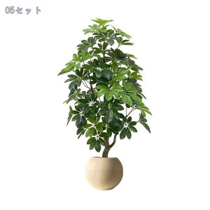 1000~OFFN[| ^ tFCNO[  k lHϗtA rO Xܑ   ItBX ze Op t Vzj ȒP sv CeAc[ J^