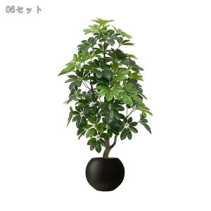 1000~OFFN[| ^ tFCNO[  k lHϗtA rO Xܑ   ItBX ze Op t Vzj ȒP sv CeAc[ J^