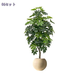 2000~OFFN[| tFCNO[  A y ^ tFCN Ex[^ lHϗtA  p rO Xܑ CeAO[ Vzj t J^ ^A