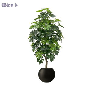 tFCNO[  A y ^ tFCN Ex[^ lHϗtA  p rO Xܑ CeAO[ Vzj t J^ ^Abv 1.5M RaogtC