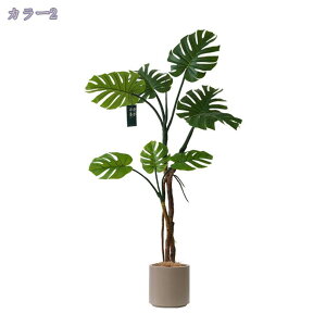 2000~OFFN[| tFCNO[ Xe t lHϗtA Xe ^ tFCNO[ 155cm { lHA lH CeAO[ ϗt A bȂ 