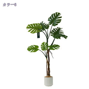 2000~OFFN[| tFCNO[ Xe t lHϗtA Xe ^ tFCNO[ 155cm { lHA lH CeAO[ ϗt A bȂ 