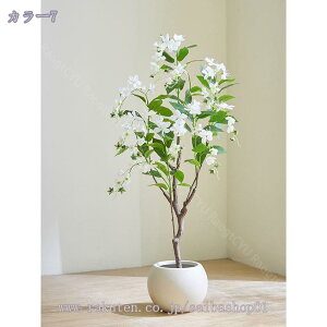 2000~OFFN[|  lHϗtA ^ WX~  { rO p[e[V ֐ R[i[ɍœK JXj Vzj CeA fBXvC Ԏd؂ 