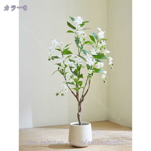 2000~OFFN[|  lHϗtA ^ WX~  { rO p[e[V ֐ R[i[ɍœK JXj Vzj CeA fBXvC Ԏd؂ 