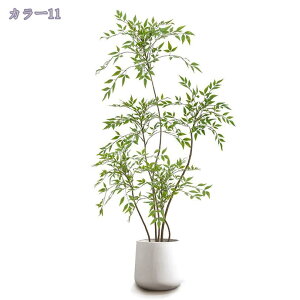 tFCNO[  lHϗtA ^ rO ItBX Lb`  er ie A Ă悤 bNXԂÂ sv K̖ 1.8m RaogtCYU