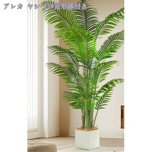 1000~OFFN[| kCeA lHϗtA tFCN AJV ^ tFCNO[ rO   u \t@  ȒPݒu { ^ip lHϗtA