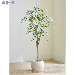 2000~OFFN[| tFCNO[ ^ CeA  rO ItBX Cɖ gsJA ȒPb炸 ͎O tFCNc[  Ƃ̒ɒu Vzj 